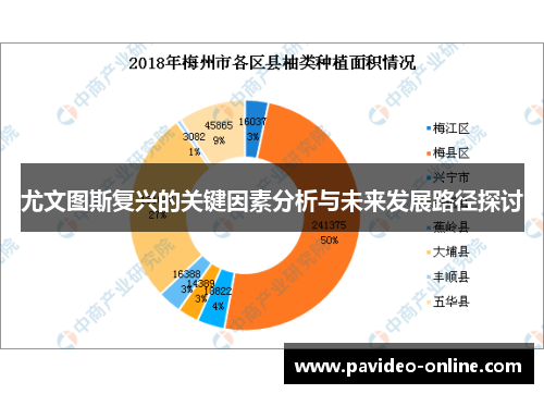 尤文图斯复兴的关键因素分析与未来发展路径探讨