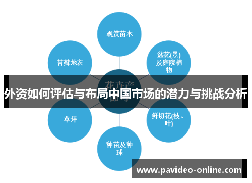 外资如何评估与布局中国市场的潜力与挑战分析