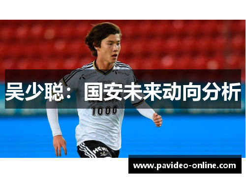 吴少聪：国安未来动向分析