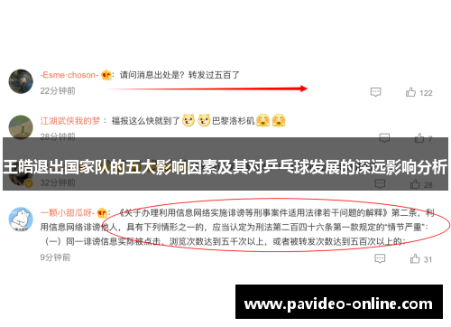 王皓退出国家队的五大影响因素及其对乒乓球发展的深远影响分析