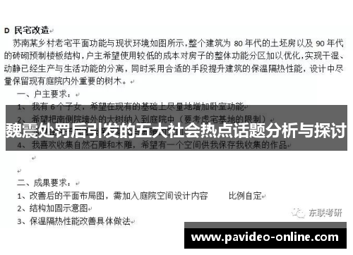 魏震处罚后引发的五大社会热点话题分析与探讨