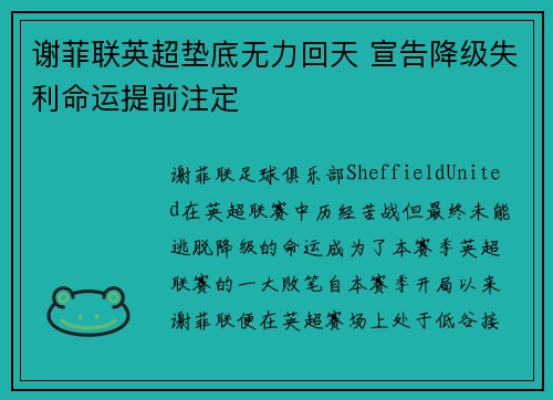 谢菲联英超垫底无力回天 宣告降级失利命运提前注定 谢菲联英超垫底无力回天 宣告降级失利命运提前注定
